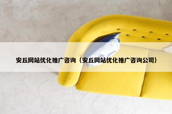 安丘网站优化推广咨询（安丘网站优化推广咨询公司）