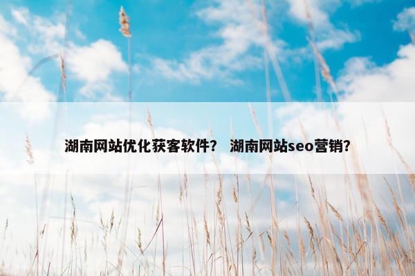 湖南网站优化获客软件？ 湖南网站seo营销？