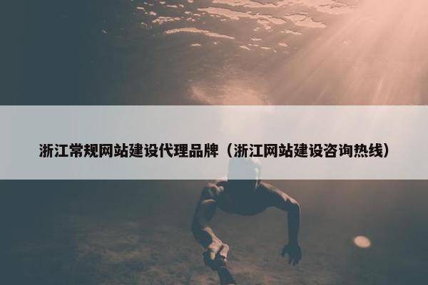 浙江常规网站建设代理品牌（浙江网站建设咨询热线）
