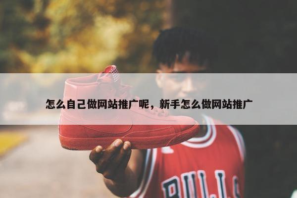 怎么自己做网站推广呢，新手怎么做网站推广