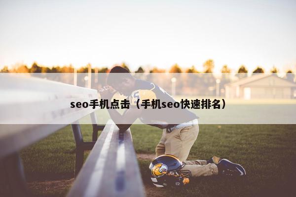 seo手机点击（手机seo快速排名）