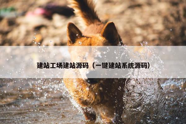 建站工场建站源码（一键建站系统源码）
