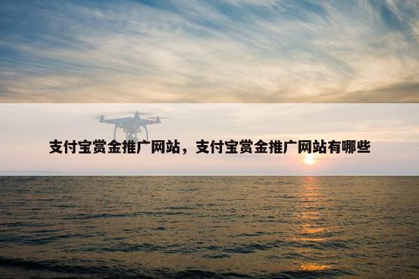 支付宝赏金推广网站，支付宝赏金推广网站有哪些