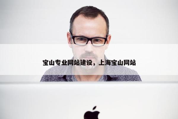 宝山专业网站建设，上海宝山网站