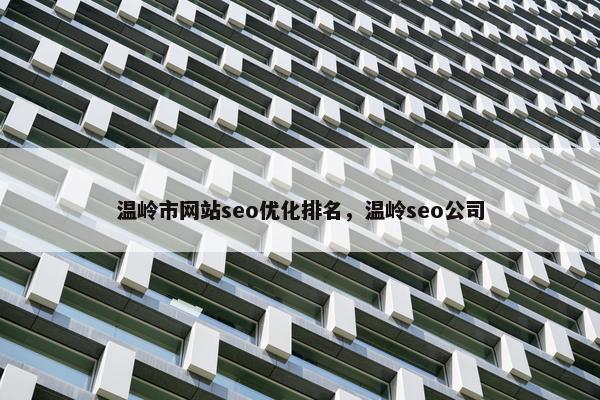 温岭市网站seo优化排名，温岭seo公司