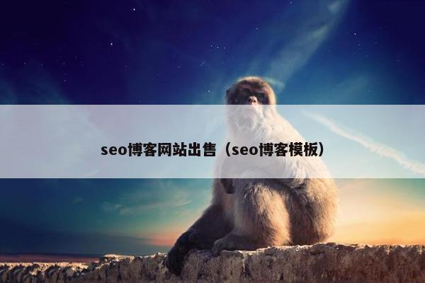 seo博客网站出售（seo博客模板）