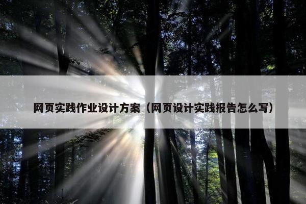 网页实践作业设计方案（网页设计实践报告怎么写）