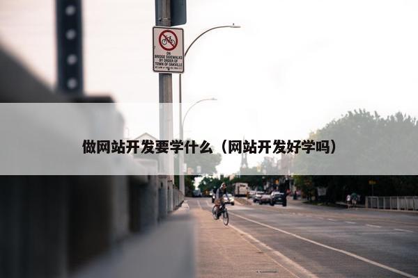 做网站开发要学什么（网站开发好学吗）