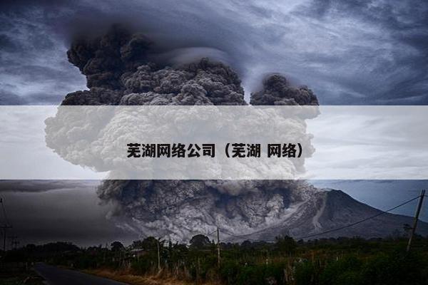 芜湖网络公司（芜湖 网络）