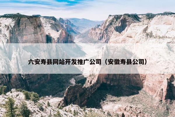 六安寿县网站开发推广公司（安徽寿县公司）