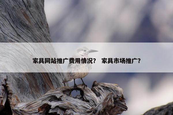 家具网站推广费用情况？ 家具市场推广？