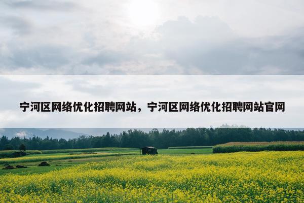 宁河区网络优化招聘网站，宁河区网络优化招聘网站官网