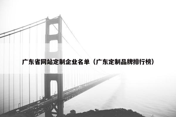 广东省网站定制企业名单（广东定制品牌排行榜）