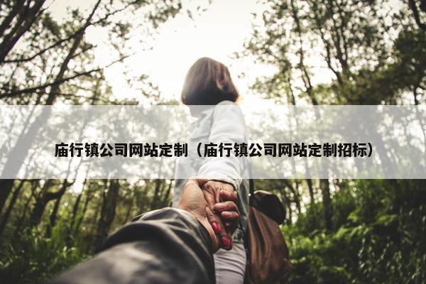 庙行镇公司网站定制（庙行镇公司网站定制招标）