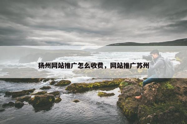 扬州网站推广怎么收费，网站推广苏州