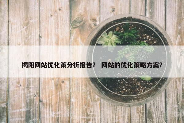 揭阳网站优化策分析报告？ 网站的优化策略方案？