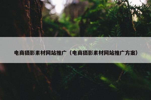 电商摄影素材网站推广（电商摄影素材网站推广方案）