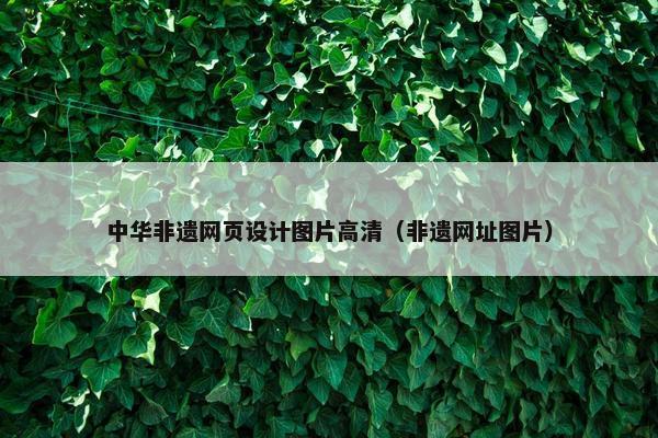 中华非遗网页设计图片高清（非遗网址图片）