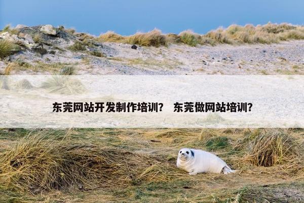 东莞网站开发制作培训？ 东莞做网站培训？