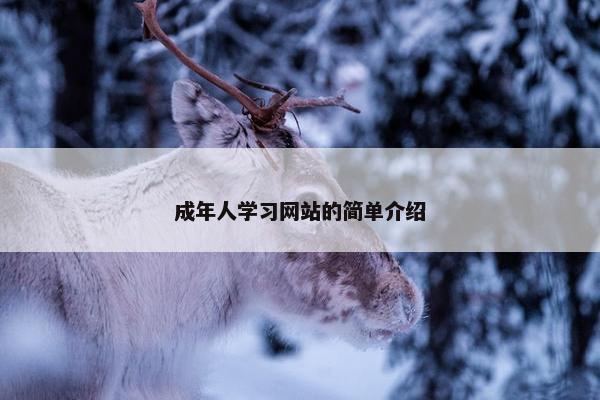 成年人学习网站的简单介绍