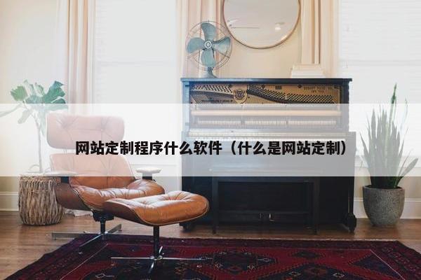 网站定制程序什么软件（什么是网站定制）