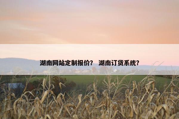 湖南网站定制报价？ 湖南订货系统？