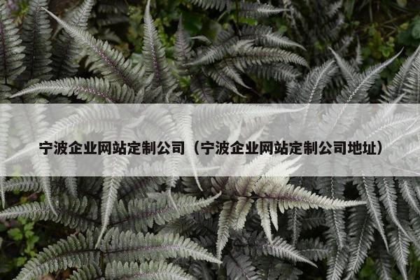 宁波企业网站定制公司（宁波企业网站定制公司地址）