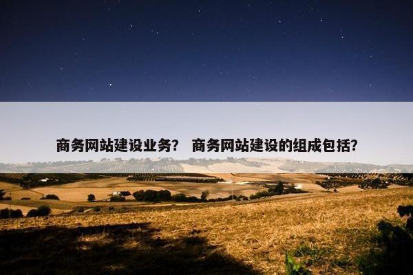 商务网站建设业务？ 商务网站建设的组成包括？