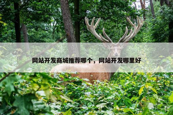 网站开发商城推荐哪个，网站开发哪里好