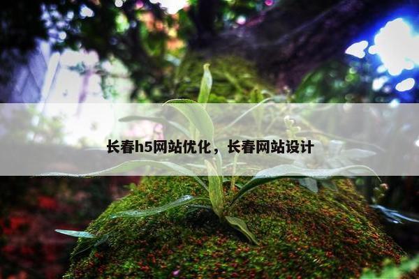 长春h5网站优化，长春网站设计
