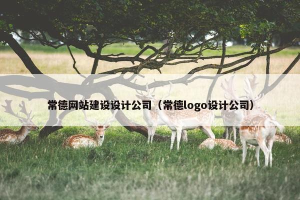 常德网站建设设计公司（常德logo设计公司）