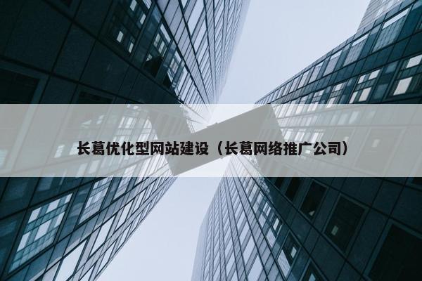 长葛优化型网站建设（长葛网络推广公司）