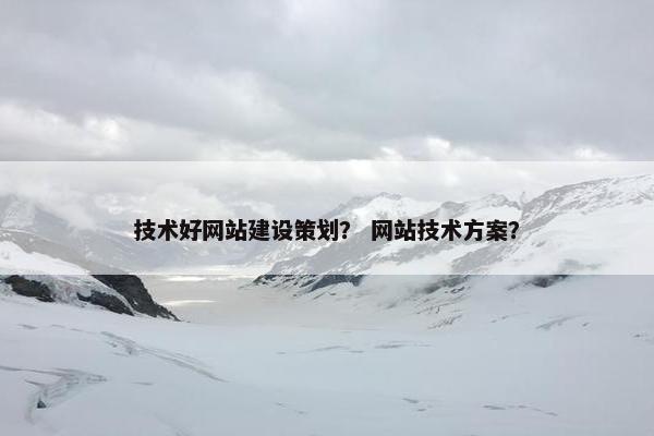 技术好网站建设策划？ 网站技术方案？