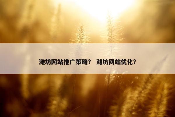 潍坊网站推广策略？ 潍坊网站优化？