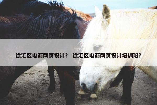 徐汇区电商网页设计？ 徐汇区电商网页设计培训班？