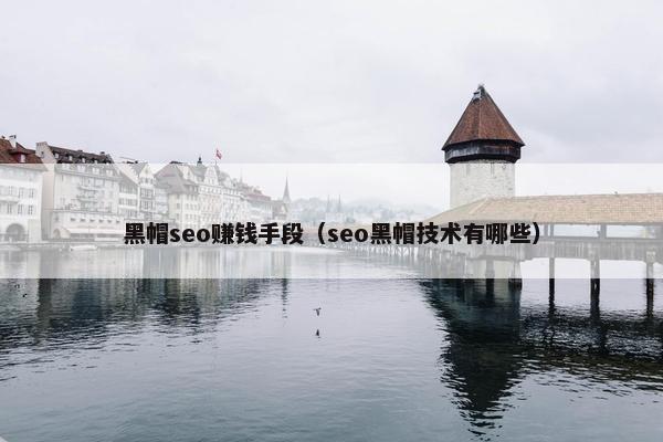 黑帽seo赚钱手段（seo黑帽技术有哪些）