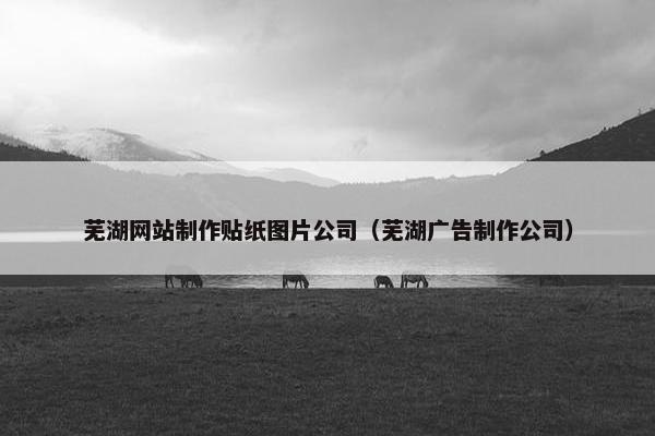 芜湖网站制作贴纸图片公司（芜湖广告制作公司）