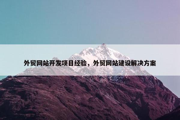 外贸网站开发项目经验，外贸网站建设解决方案