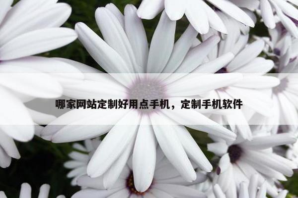 哪家网站定制好用点手机，定制手机软件