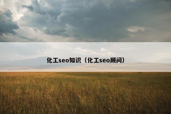 化工seo知识（化工seo顾问）
