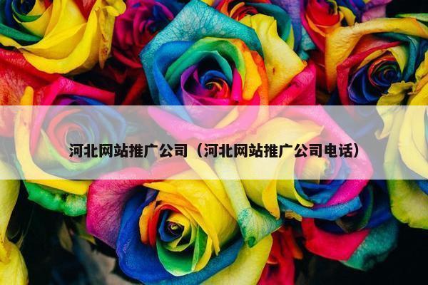 河北网站推广公司（河北网站推广公司电话）