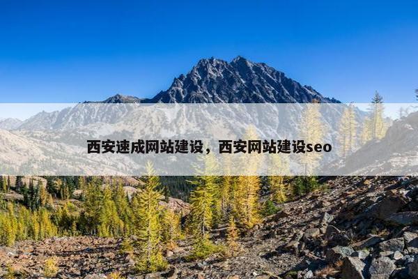 西安速成网站建设，西安网站建设seo