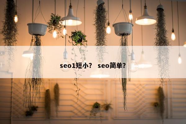 seo1短小？ seo简单？