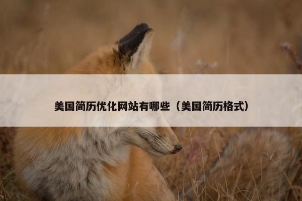 美国简历优化网站有哪些（美国简历格式）