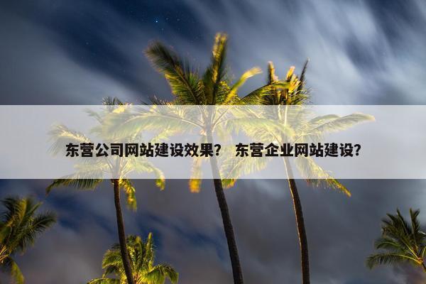 东营公司网站建设效果？ 东营企业网站建设？