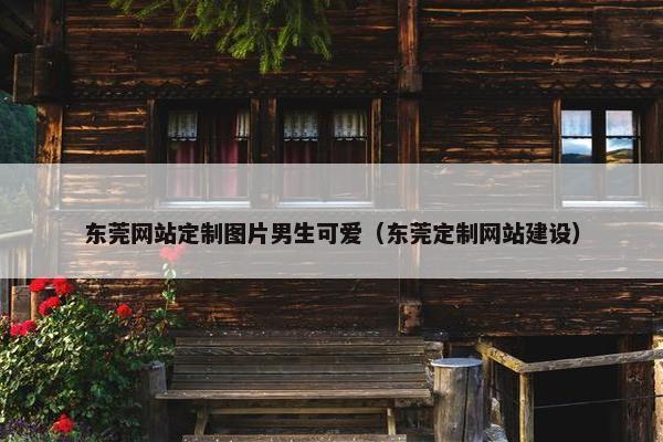 东莞网站定制图片男生可爱（东莞定制网站建设）