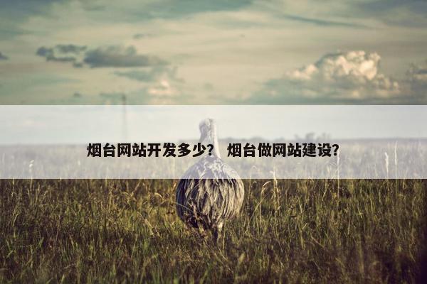 烟台网站开发多少？ 烟台做网站建设？