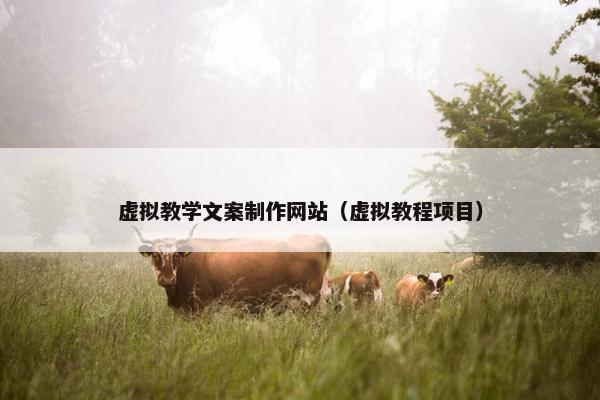 虚拟教学文案制作网站（虚拟教程项目）