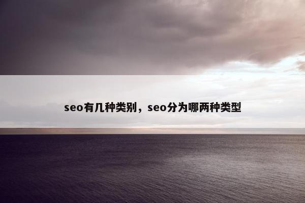 seo有几种类别，seo分为哪两种类型