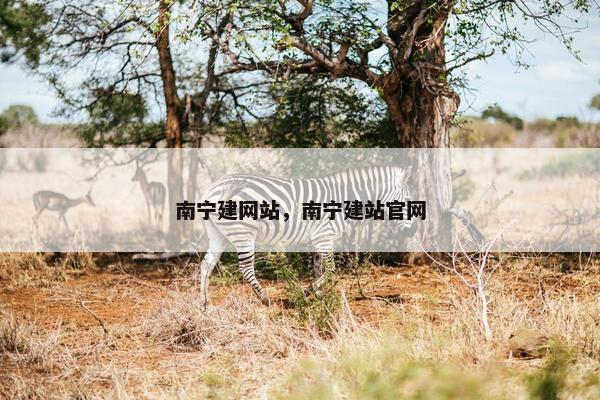 南宁建网站，南宁建站官网